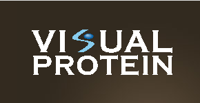 Visual Protein